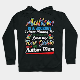 autism journey Hoodie